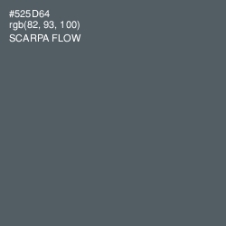 #525D64 - Scarpa Flow Color Image